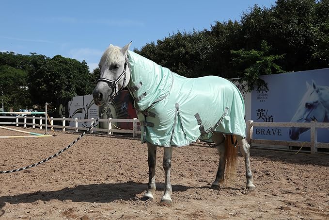 Horse Fly Sheet with Detachable Neck Cover & Belly Wrap, Adjustable Fly Sheet for Horses, Ventilated Airflow Mesh Equine Cooling Summer Flysheet Green 78