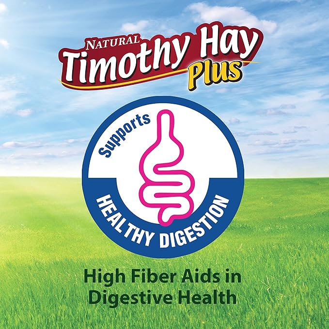 Kaytee Timothy Hay Plus Carrots for Pet Guinea Pigs, Rabbits & Other Small Animals, 24 oz (Pack of 2)