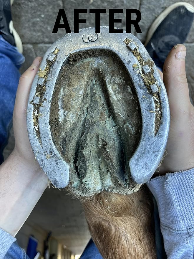 Horse Hoof Thrush Treatment Clay and White Line Equine Care: Effective on Horses, Cows, Goats, Sheep, Pigs and All Hooved Animals- 25 oz Jar New Heat Resistant Formula*