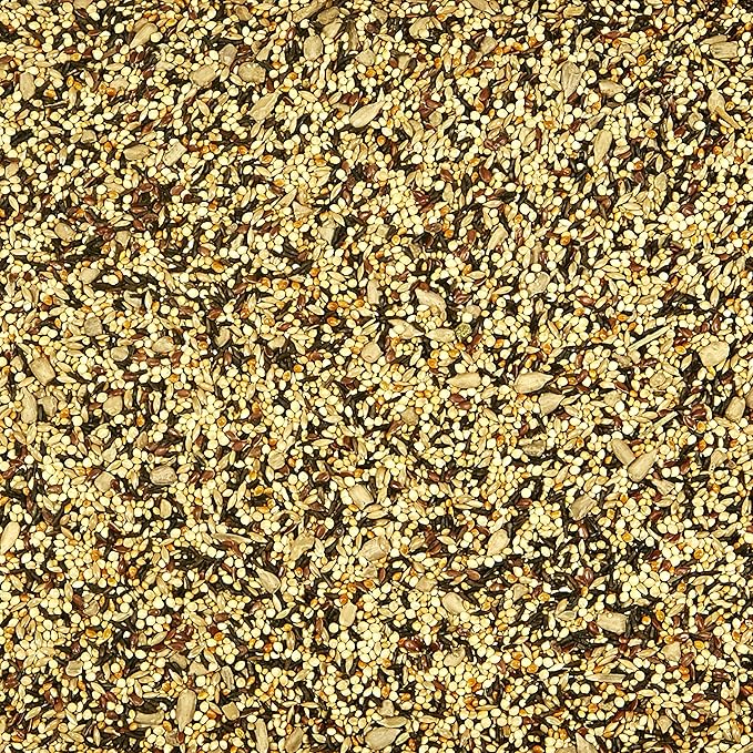 Kaytee Wild Bird Finch Food Blend, 5 lb (Pack of 2)