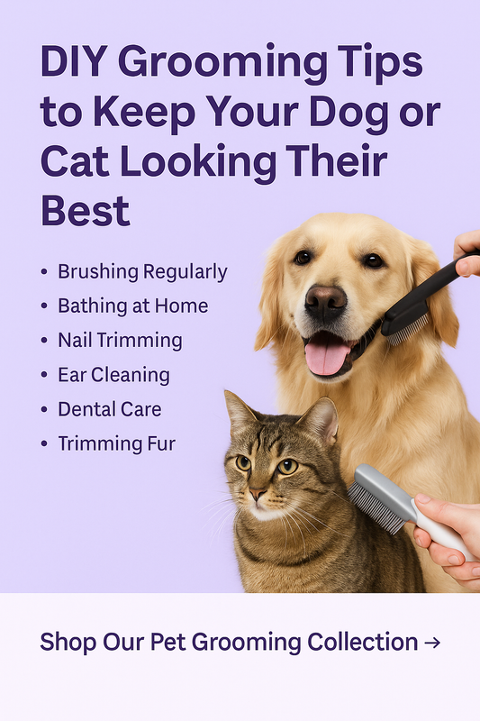 DIY Grooming Tips to Keep Your Dog or Cat Looking Their Best