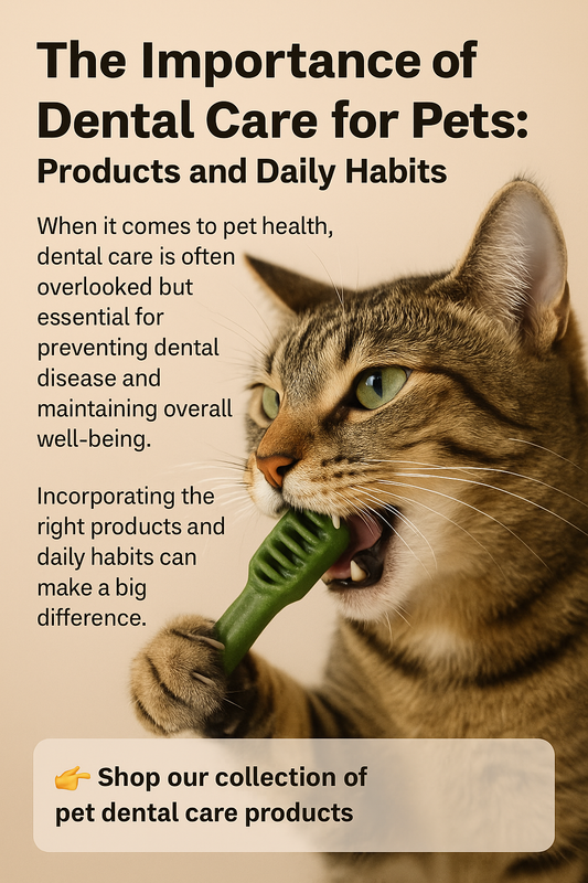 The Importance of Dental Care for Pets: Products and Daily Habits