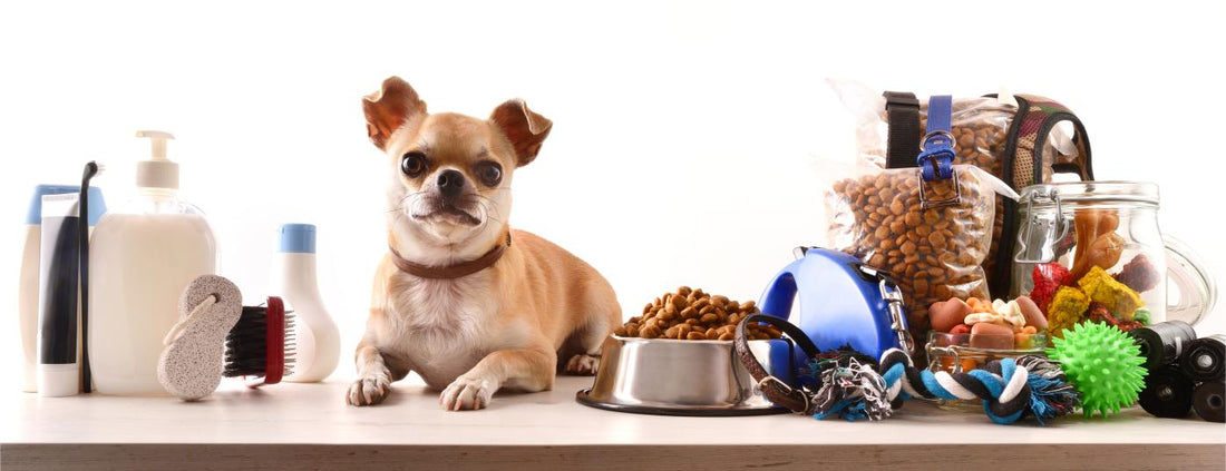Top 10 Must-Have Pet Supplies Every New Dog Owner in the U.S. Needs