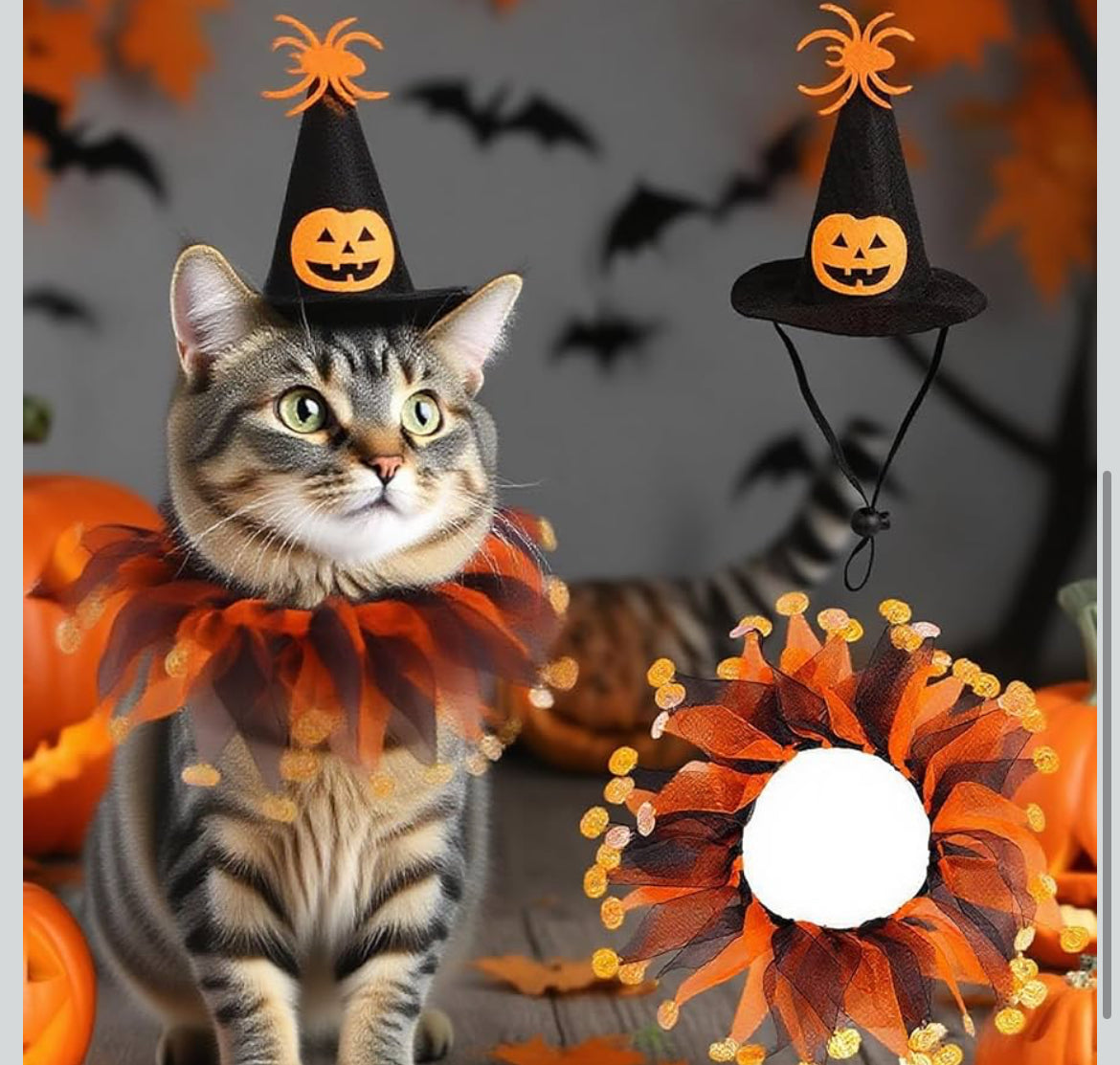 Halloween Costume for Cat Set, Pumpkin Theme Cat Witch Hat and Cloak Funny Halloween Outfit Accessories for Small Dogs Outfits (Small size)