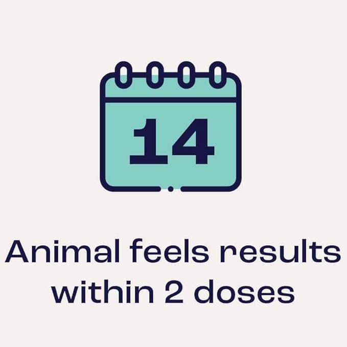 Joint & Mobility Sublingual for Horses, 4pk