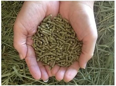 Small Pet Select Guinea Pig Food Pellets, 20 Lb.