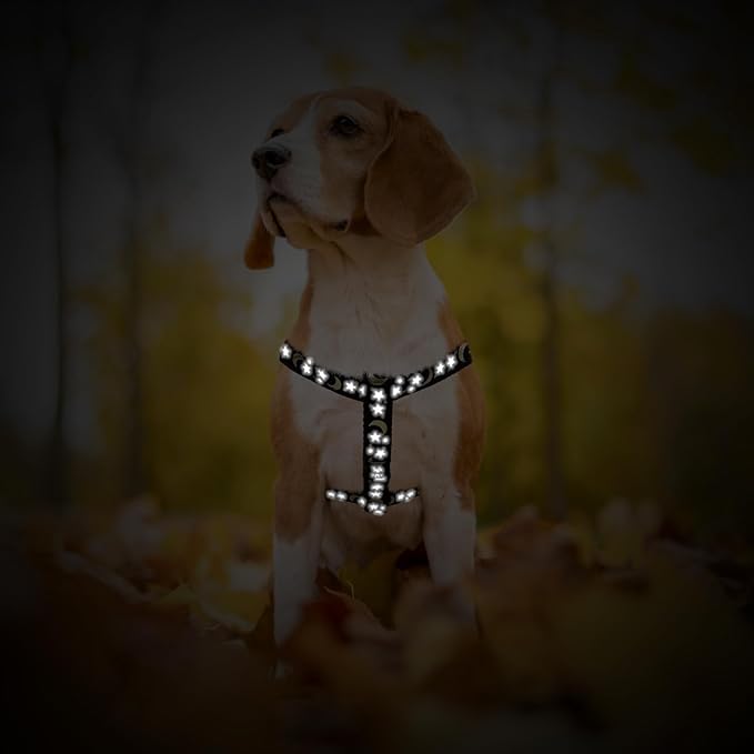 PUPTECK No Pull Dog Harness Soft Adjustable Basic Nylon Step in Puppy Vest Outdoor Walking with ID Tag, Moon Star Black, S