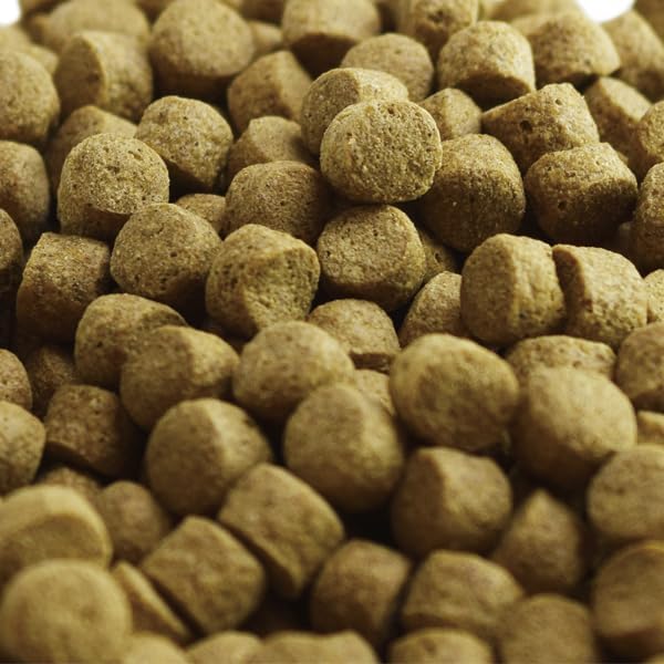 Plant Based Koi Fish Food | Wheat Germ Koi Food, All Season, Medium Floating and Sinking Pellets, 11 lbs (Medium/Sinking)