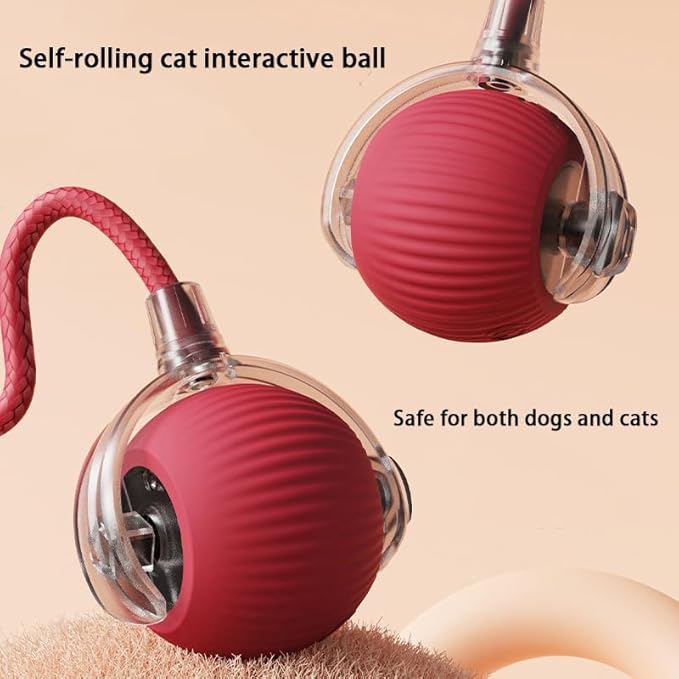 Interactive Cat Toy Ball for Indoor Cats - 3-Speed Smart Rolling Ball with Flashing Lights, USB Rechargeable Automatic Motion Kitten Toys for Bored Adult Cats & Playful Kittens