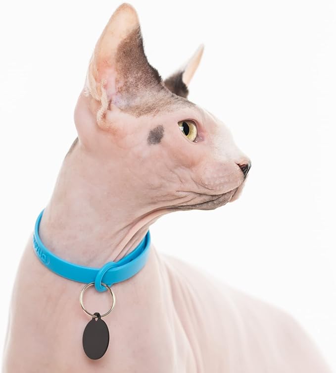 3 Pack Breakaway Cat Collar - Soft, Comfortable, and Lightweight Safety Buckle Collar with Name Tag Ring for Outdoor Cats and Sensitive Skin Kittens by Nuvuq (6 ⅞" to 10 ¼", Blue, Pink and Black)