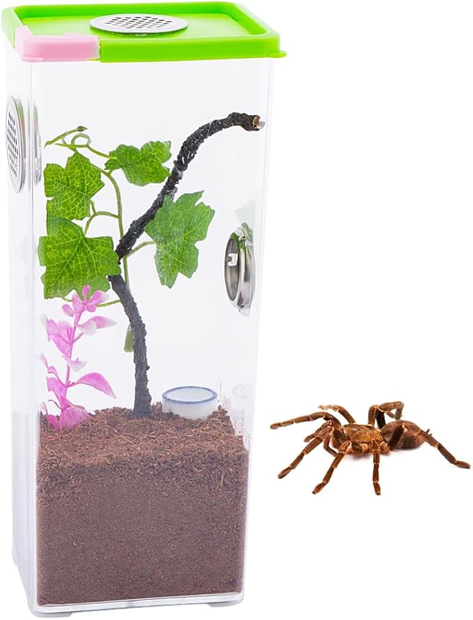 Tarantula Large Breeding Box Reptile Transparent Feeding Box Frog Cricket Snail Hatching Container Insect Habitat Cage(10.1" x 4.1" x 3.1")
