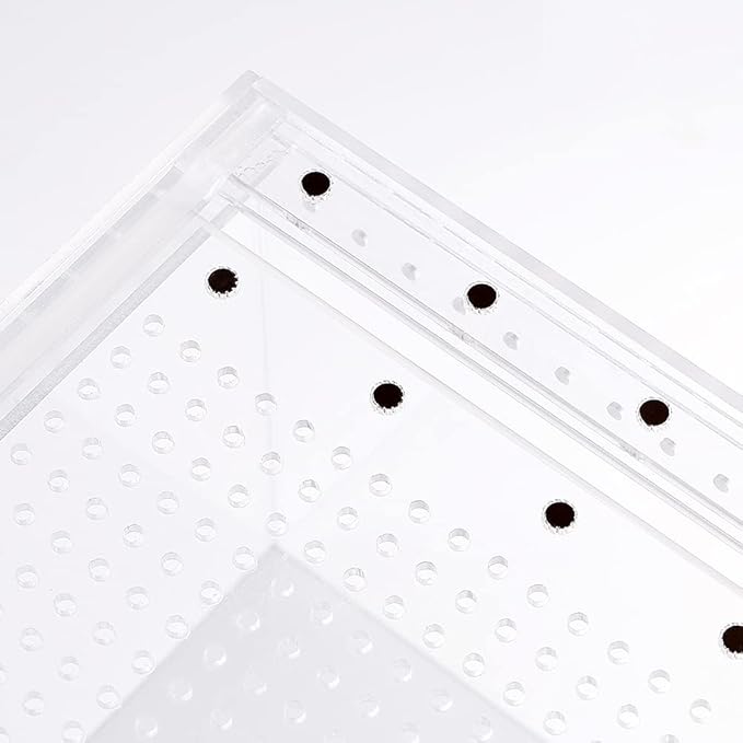 NANEEZOO Magnetic Acrylic Large Enclosure 2.5 Gallon 12 x 8 x 6 Inch Reptile Breeding Box Terrarium Cage for Insect Tarantulas Amphibians Caterpillars Snail Clear Acrylic Reptile Feeding Box