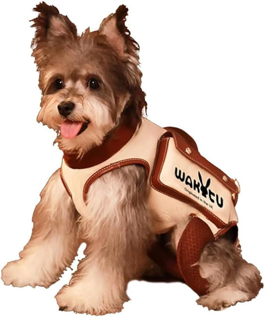 Dog Lift Harness Dog Carrier VES Harness Adjustable Leash with Small Puppy Treat Bag,Fits Most Cars,L