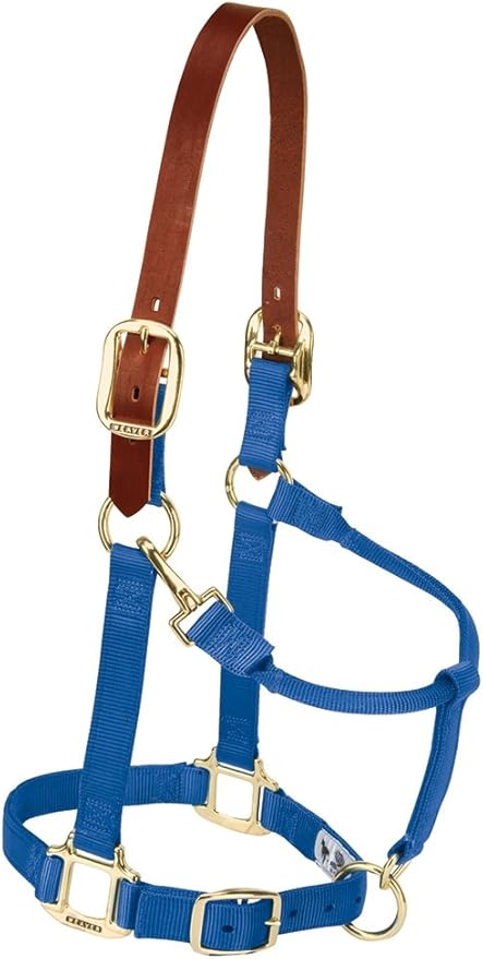 Weaver Equine Breakaway Horse Halter, Supple Leather Crown, Adjustable Chin & Throat Snap Halters for Horses, Equine Tack