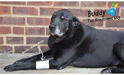 Basic Leg Bandages for Dogs, Cats, Pets -First- aid Non Adhesive Fur Friendly, Soft Stretch Wound Care, hot Spots, Fungus, Adjustable Fastening Strap Value Pack (2XS/XS 12-Pack)