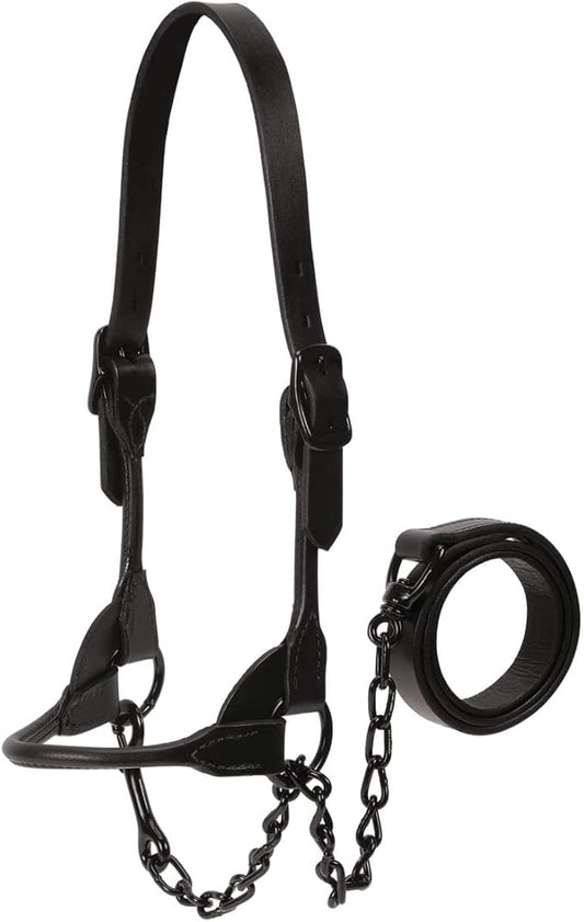 Weaver Livestock Leather Magic Show Cattle Halter, Adjustable, Modern Style Cow Calf Halter, Livestock Handling Equipment for Showing, Black