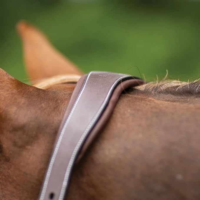 Joseph Sterling Comfort Crown Leather Halter for Horses | Memory Foam Interior for Comfort | Anatomical Design Radiant Chocolate Color with Fancy Stitch Design