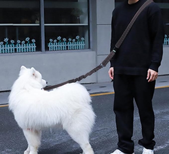 Hands Free Dog Leash for Large Medium Dogs Heavy Duty Bungee Reflective Adjustable Waist Leashes for Walking Running with Car Buckle 4-6FT (Black)