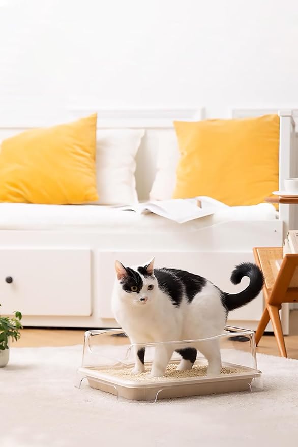 Disposable Small Litter Boxes for Cats, Litter Box for Recovery, Kitten Travel Tray, Shallow, Low-Entry Litterbox for Senior Cats (5-Pack)