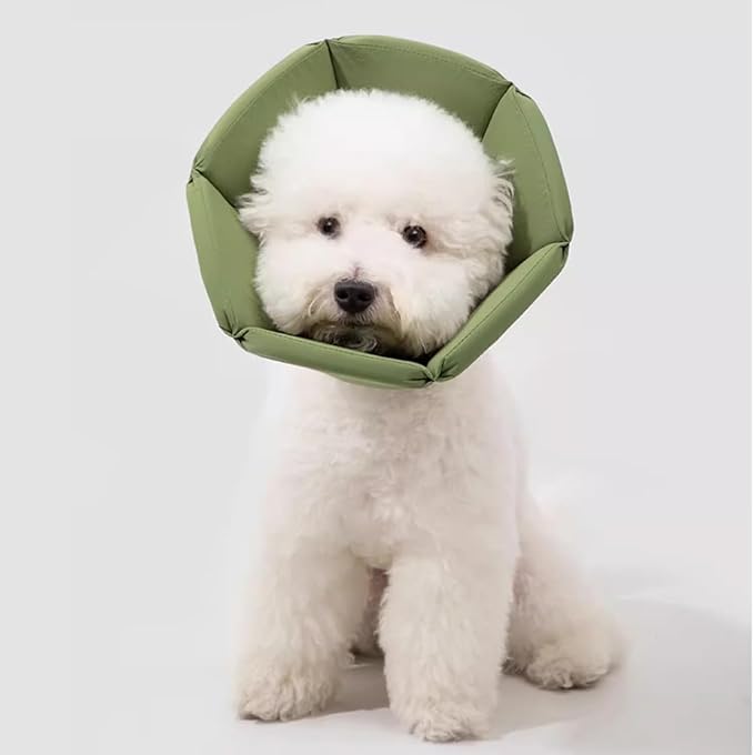 Cat Dog Cone Collar - Soft Waterproof Elizabethan for Cats, Cute Green Flower Anti-Lick Recovery Collar, Adjustable Healing Collar for Wound Care & Surgery with a pet Toy Fish，S