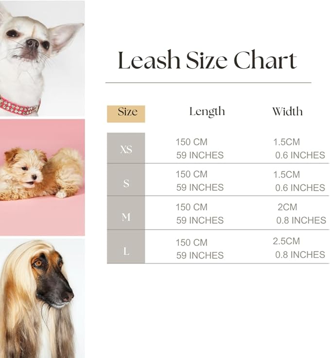 HILLBERRY Dog Collar and Leash Set Adjustable Rainbow Pink Purple Blue Puppy Pet Essentials and Supplies - Size XS