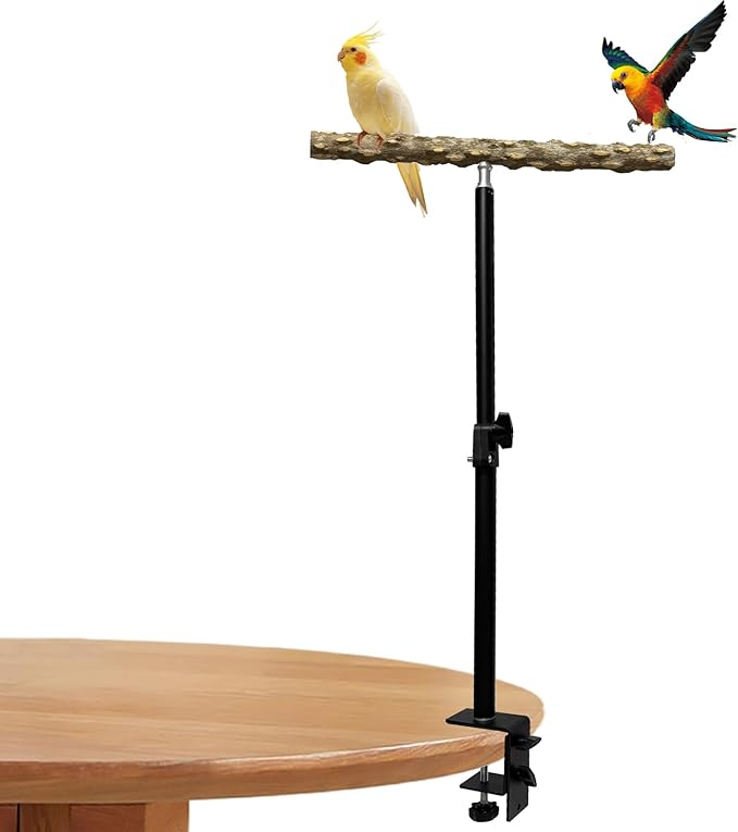 13-23 Inch Height Adjustable Desktop Bird Perch Pepper Wood Bird Training Perch Stand Parakeet Perches Indoor and Outdoor Parrot Stands for Small to Medium Bird