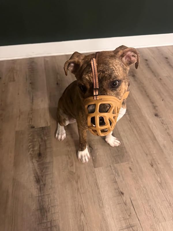 Mayerzon Dog Muzzle, Breathable Basket Muzzles for Small, Medium, Large and X-Large Aggressive Dogs Beagle German Shepherd Doberman, Cage Mouth Guard Stop Biting Chewing for Grooming Training