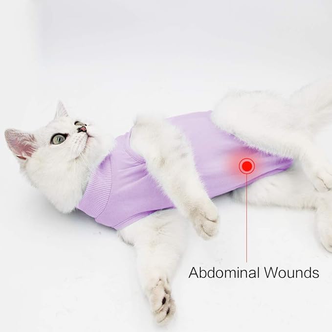 DOTON Cat Recovery Suit for Male and Female Surgical Post Surgery Soft Cone Onesie Shirt Clothes Neuter Licking Protective Diapers Outfit Cover Kitten Spay Collar(S, Purple)