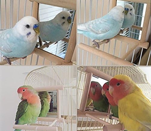 Hypeety Bird Parrot Mirror Toy Swing Hanging with Perch for Parrot Parakeet Budgies Cockatiel Conure Finch Lovebird (D)