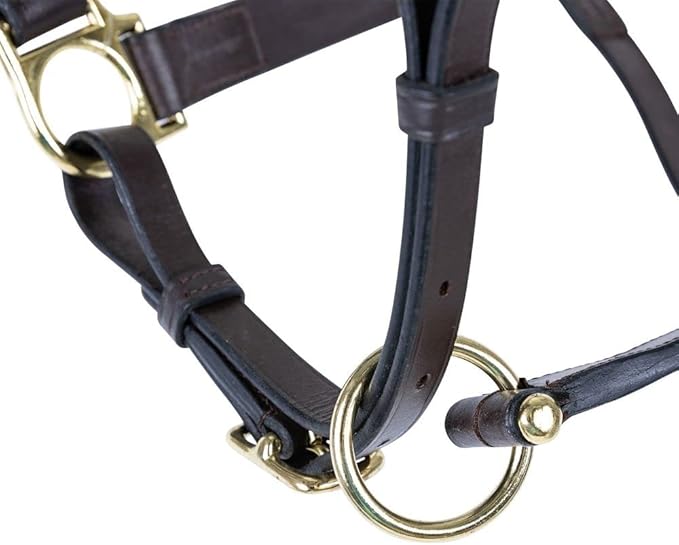 Schneiders Premier Lancaster Fixed Throat Leather Halter for Horses | 1" Single-Ply Leather | Lightweight Everyday Design | Brass Hardware