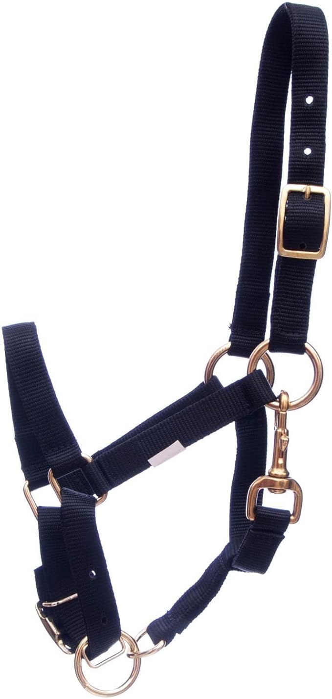 Jeffers Han Lien International 3/4" Nylon Adjustable Horse Halters