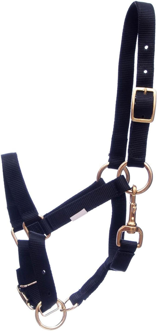 Jeffers Han Lien International 3/4" Nylon Adjustable Horse Halters