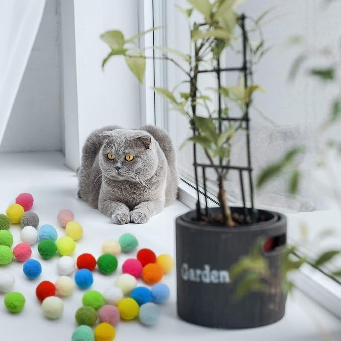 Loty Store 50PCS Cat Toys Balls 3CM,Soft Colorful Pompoms Ball Cat Chew Toy Kitten Pet Toy, Scratching Balls Toy Interactive Pet Supplies for Cats Kittens Dog