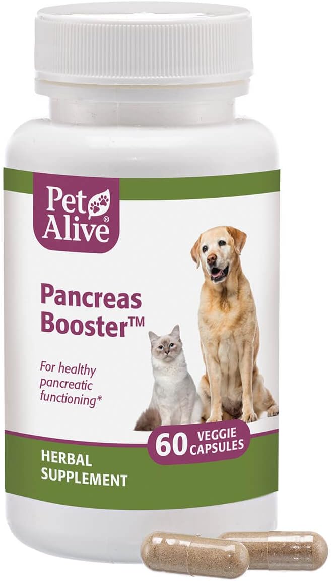 PetAlive Pancreas Booster - All Natural Herbal Supplement for Pancreatic Health and Digestive Functioning in Cats and Dogs - Supports Healthy Insulin Production - 60 Veggie Caps