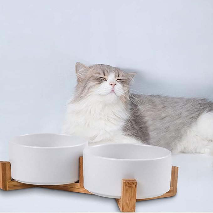 Petygooing Dog Bowls,White Ceramic Cat and Dog Bowl Set with Wood Stand for Food and Water, Non-Slip Cute Modern Pet Dish Set for Cats & Medium Dogs (28OZ)