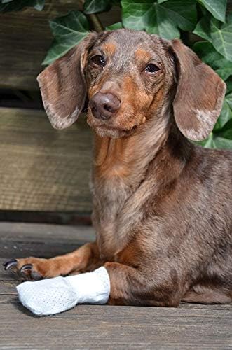 Medimitt Paw Bandages for Dogs, Cats and Pets – Stretchy Medical Booties, First Aid for Paws – Non Slip, Non Adhesive, Breathable, Disposable, Washable, Adjustable Strap, Value Pack (Large 20-Pack)