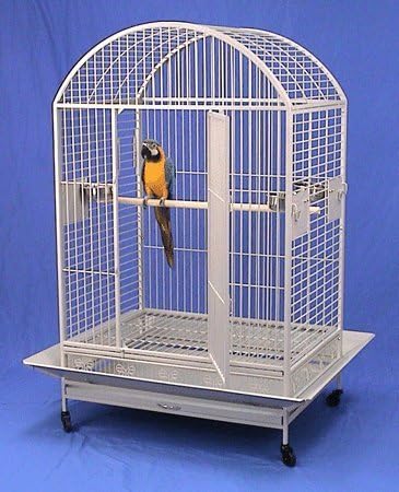 XX Large DomeTop Wrought Iron Bird Parrot Cage, 40"x30"x66.5"H, 6mm Extra Strong Wire (Silver Vein)