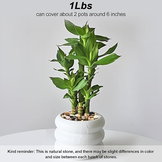 River Rocks, Decorative Ornamental Pebbles,Garden Landscaping Stones,Gravel Filler for Home Decoration Flower Bed Fish Tank Plants Vases Succulents