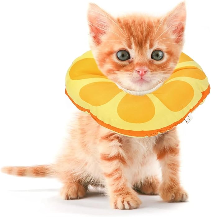 Kitten Cones After Surgery 0-6 Months, Donut Extra Small Kittern Cone Collar Soft to Stop Licking Neck, Elizabethan e Collar for Recovery