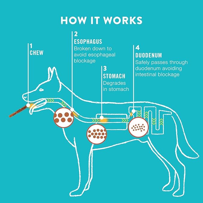 Collagen Rolls - 9" Collagen Rolls for Dogs - Long Lasting Healthy Joint Support Dog Treat - Rawhide Alternative - Skin & Coat Health - Made with Real Beef, 1 Bag, 3 Count