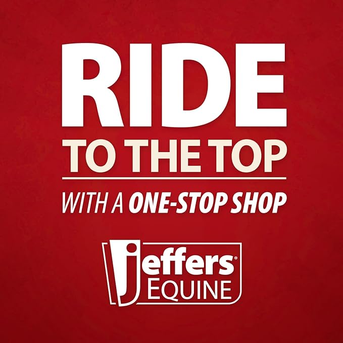 Jeffers Equine Mini Horse Halter – 3/4" Nylon Adjustable Halter for Miniature Horses, Ponies, Under 300 lbs – Heavy Duty Hardware, Secure Fit for Training, Turnout, Grooming, Travel – Black