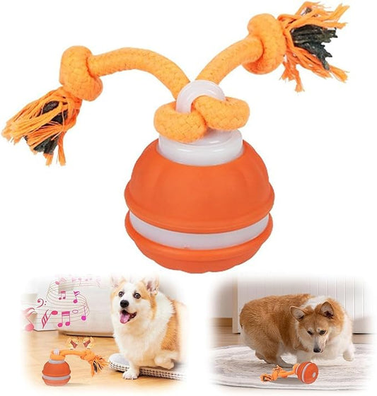 2026 New Interactive Pet Toy Ball, Smart Interactive Ball for Cats & Dogs, Electric Rolling Pet Toy Ball, Rechargeable Interactive Cat Toys for Bored Indoor Cats Kittens to Keep Busy (Orange)