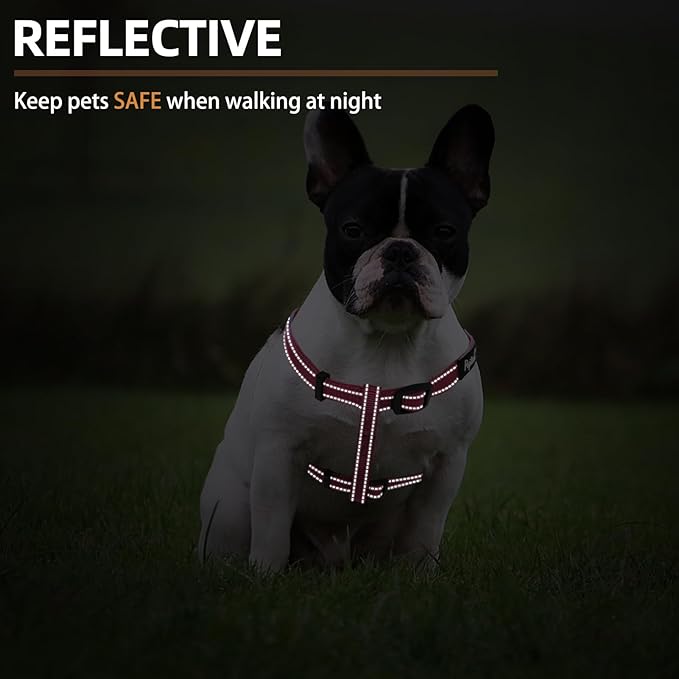 PUPTECK No Pull Dog Harness Soft Adjustable Basic Nylon Step in Puppy Vest Outdoor Walking with ID Tag, Reflecive Pink, S