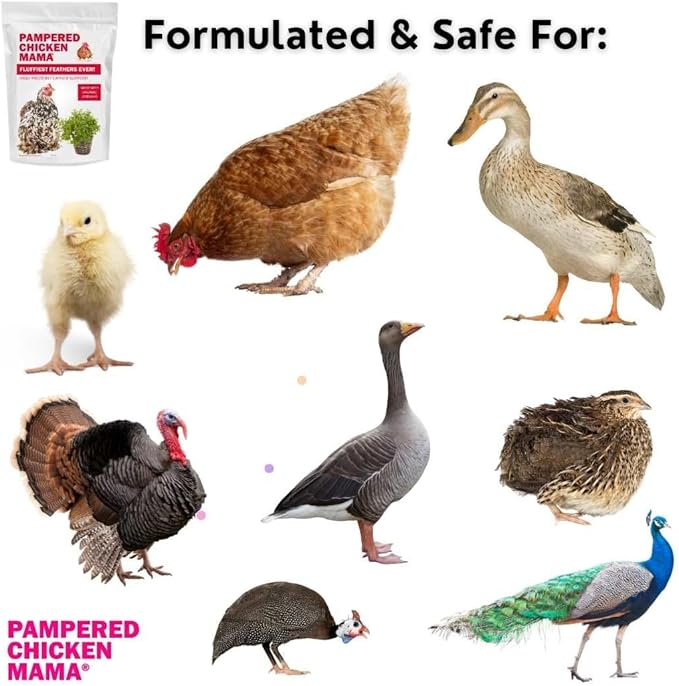 Pampered Chicken Mama Backyard Chicken Molting Supplement: Fluffiest Feathers Ever Backyard Chicken Feed and Supplies for Hens (6 Pound Economy Size)