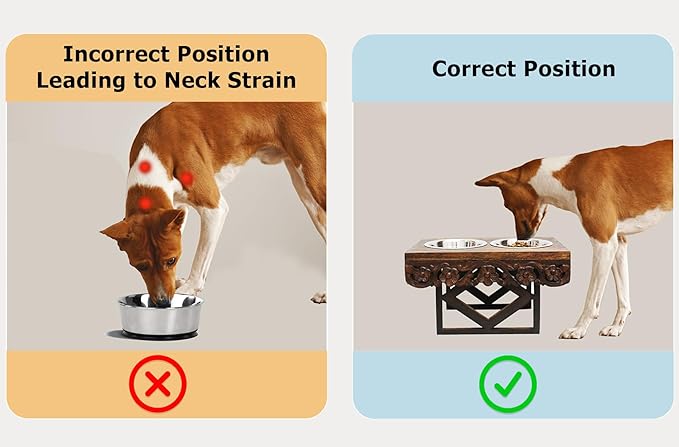 Elevated Pet Feeder for Dogs and Cats - The Bali Carved Wood Pet Feeding Stand with Two Stainless Steel Bowls - Three Heights Adjustable Raised Dog Bowl - Food Water Pet Feeding Station - IRONGATE