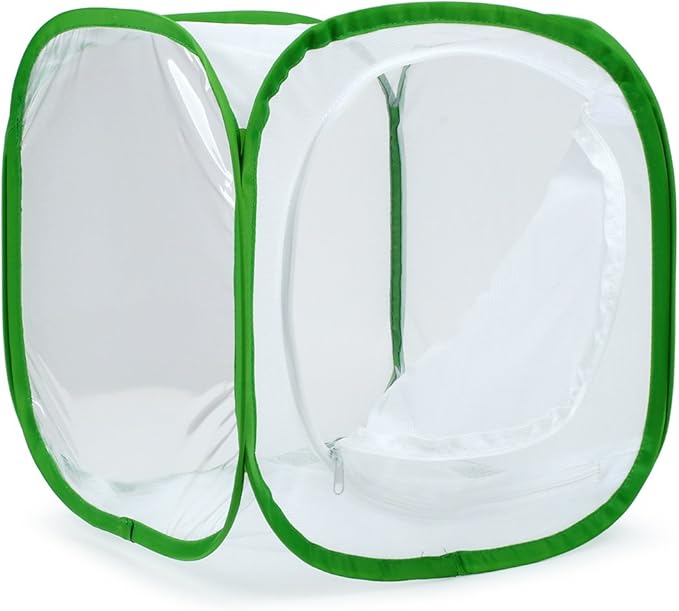 RESTCLOUD Insect and Butterfly Habitat Cage Terrarium Pop-up 12 X 12 X 12 Inches