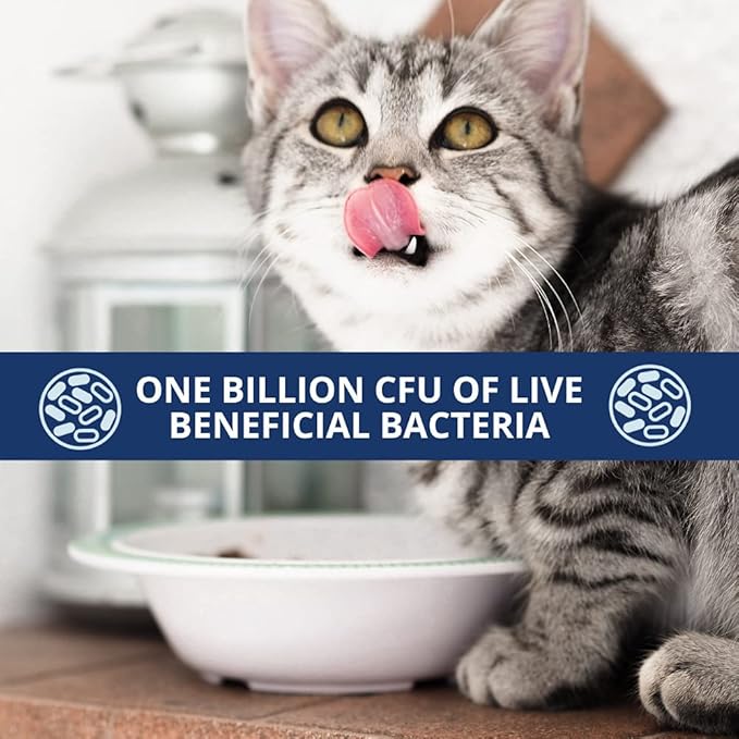 Under the Weather Pet Probiotics Powder for Cats | Vet Formulated Probiotic Supplement for Digestive Gut Health | Promotes Good Digestion & Immunity | Aids Occasional Diarrhea for Cats (2.54 Oz)