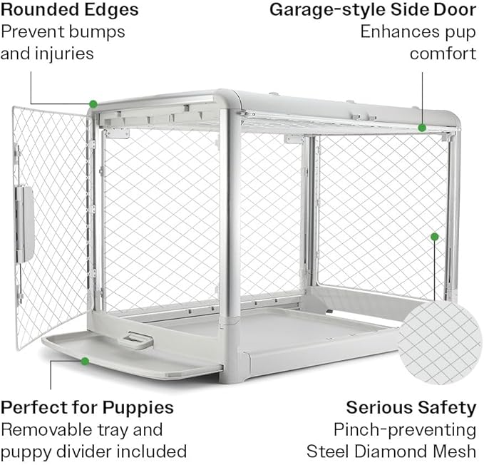 DIGGS Revol Collapsible Dog Crate with Wheels - Premium Portable Dog Crate - Safe, Stylish, and Convenient Indoor Kennel (Ash, Large)