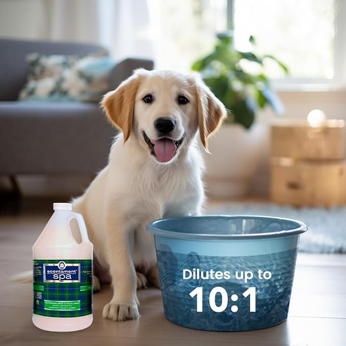 Scentament Spa Seasonal Facial & Body Wash, Berry Amaretto, 1 Gallon, Model: S55-Gallon