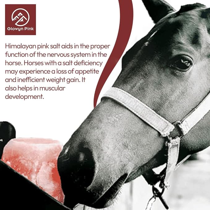 Himalayan Mineral Salt Block on Rope Pack of 4 (3lbs each) – 100% Organic Pink Salt Lick for Horses and Livestock. Deer Attractant with No Harmful Elements.